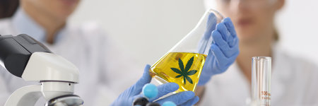 Women in chemical laboratory hold glass flask with hemp oil in hand in blue rubber gloves closeupの写真素材