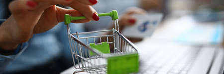 Woman holds small shopping basket and credit card.の写真素材