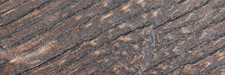 Brown abstract background from natural wood closeup.の写真素材