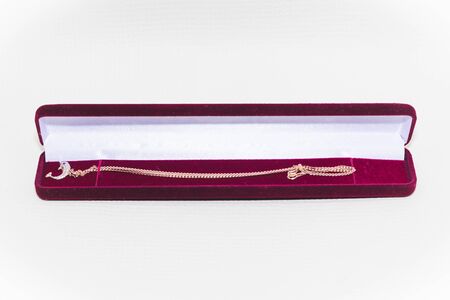 golden necklace and dolphinの写真素材