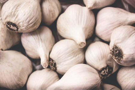 Garlic. Garlic Cloves and Garlic Bulb in vintage wooden bowl foodの写真素材