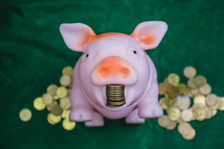 Piggy bank gold color and stack of money safe in the garden outside financeの写真素材