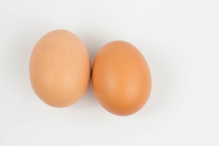 egg isolated on white backgroundの写真素材