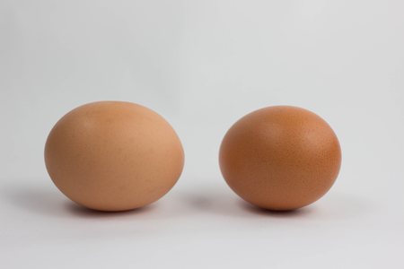 Two chicken eggs close-up isolated on white background birdの写真素材
