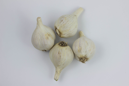 Garlic with leaves of parsley isolated on white foodの写真素材