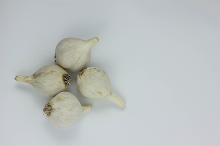 Garlic Cloves and Garlic Bulb on vintage burlapの写真素材
