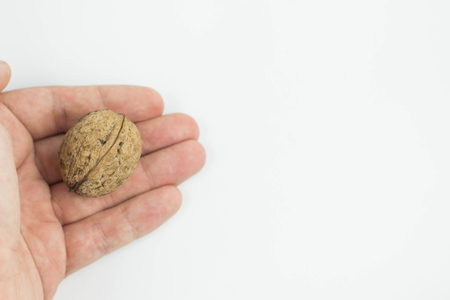 One female hand holding a classic nut dietの写真素材