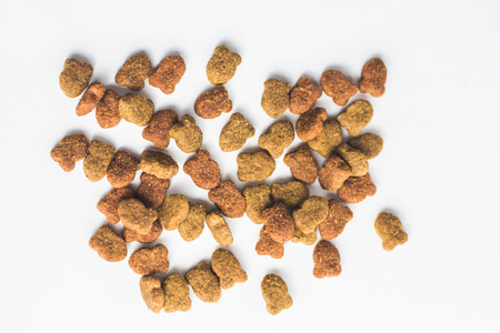 home cats feed dry foodの写真素材