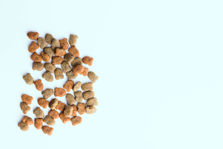 home cats feed dry food