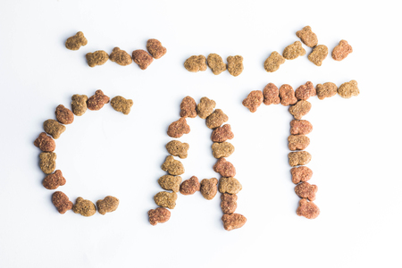 dry cat food in granules on a white background animalの写真素材