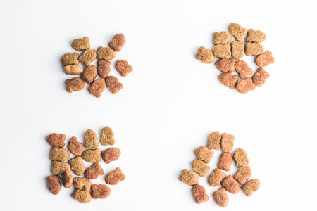 cat food scattered white mixの写真素材