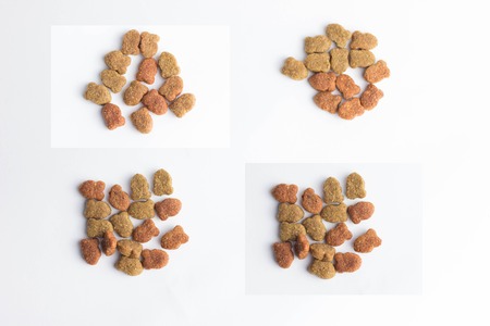 dry cat food in granules on a white background animal