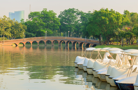 JATUJAK PUBLIC PARK, BANGKOK, THAILAND FEBRUARY 5, 2017: The landscape view of a public park. Jatujak Public Park is the largest public for Bangkok's people to exercise and relax.のeditorial素材