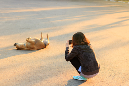 Sukhothai province, Thailand - December 11 2016: Wat Sri Chum temple, Young asia woman takes pictures of dog.の写真素材
