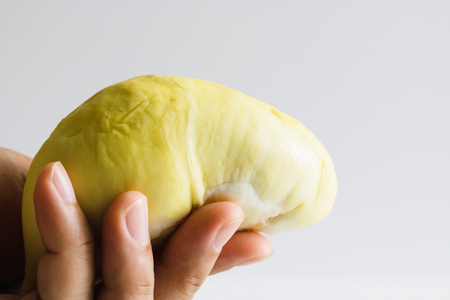 Durian in hand on white background, Close up.の写真素材