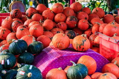 Orange Japanese pumpkins in plastic basket for sale at the countryside market in thailand.の写真素材