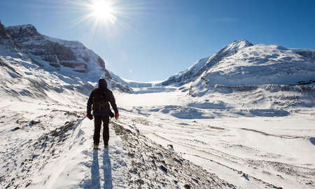 Young man hiking at Athabasca Glacierの写真素材