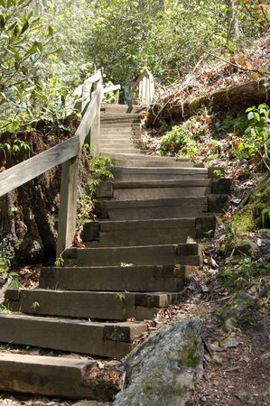 Stairs on a hiking trail in North Carolinaの写真素材