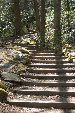 Stairs on a hiking trail in North Carolinaの写真素材