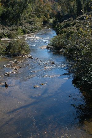 a small creek seen in the spring of the yearの写真素材