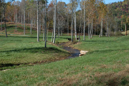 A small creek in rural North Carolinaの写真素材