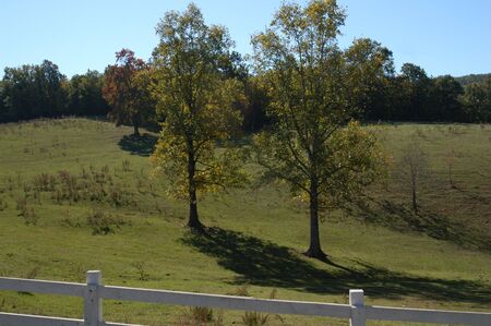 Rural country farm in North Carolinaの写真素材