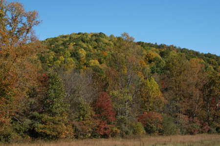 Rural country farm in North Carolina during the fallの写真素材