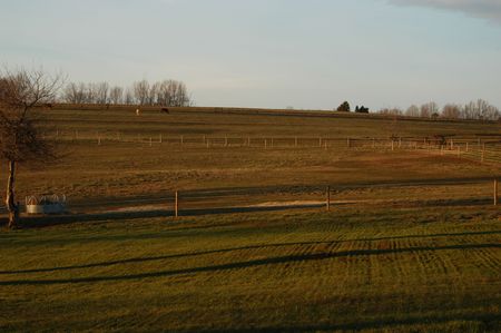 A view of a horse farm at the end of the dayの写真素材