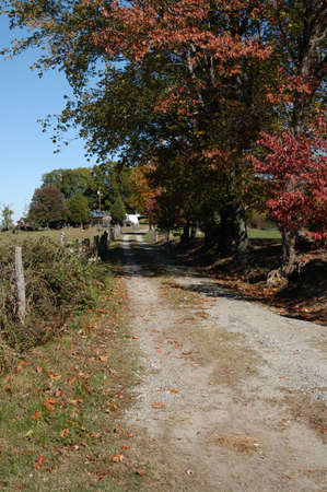 Old dirt road in the rural south of the united statesの写真素材