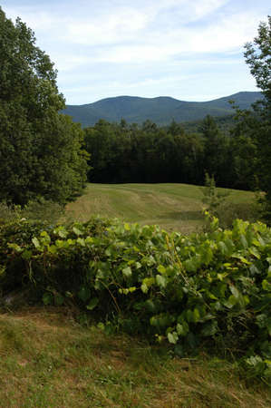 The mountains of New Hampshire in the summer timeの写真素材