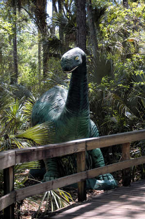 A wooden walkwy through the swamp area in Florida with a dinosaur along the way.の写真素材