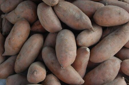 Potatoes at a farmers market ready for salesの写真素材