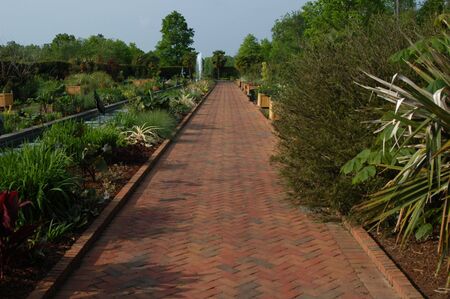 A red brick garden walk with plants in bloomの写真素材