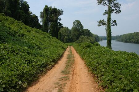 Along the Catawba River in western North Carolinaの写真素材