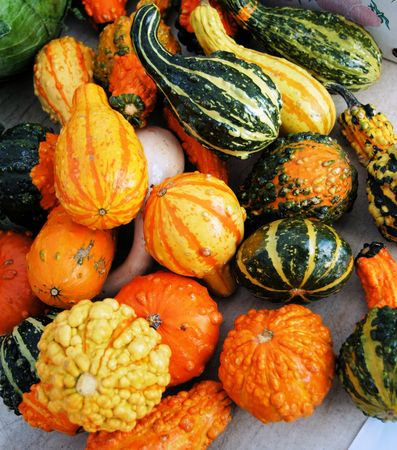 Squash for sale at the farmers market.の写真素材