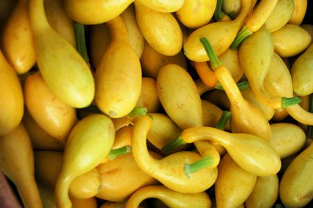 Yellow squash at the market for saleの写真素材