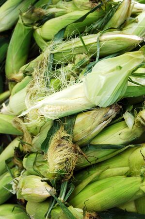 Stack of corn waiting to shucked at the marketの写真素材