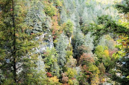 The side of the mountain in the early fall. From the Linville Gorge area of North Carolina.の写真素材