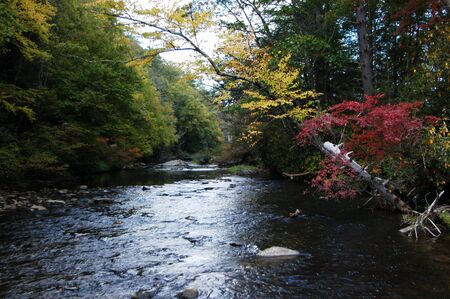A river seen during the fall of the year in rural North Carolinaの写真素材