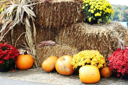Scenes of the fall season in rural North Carolinaの写真素材