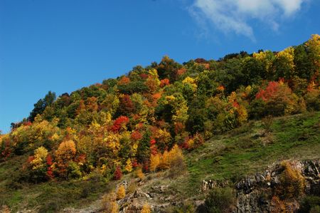 Early fall in rural North Carolina の写真素材
