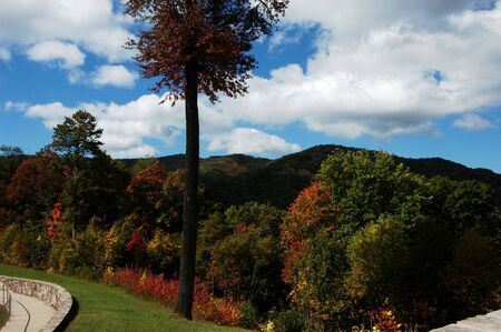 Trees in the fall along a North Carolina highwayの写真素材