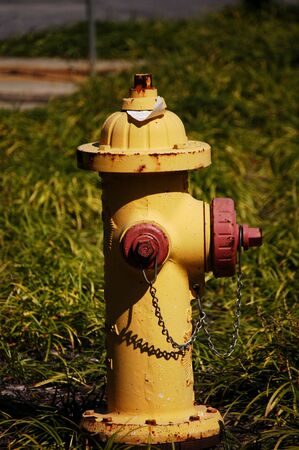 A yellow fire hydrant along the road