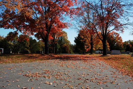 A road seen in the fall of the yearの写真素材