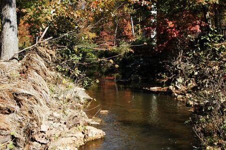 A small creek seen during the fall of the yearの写真素材