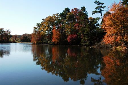 a lake scene during the fall of the yearの写真素材