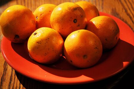 Oranges on a plate ready for grabbingの写真素材