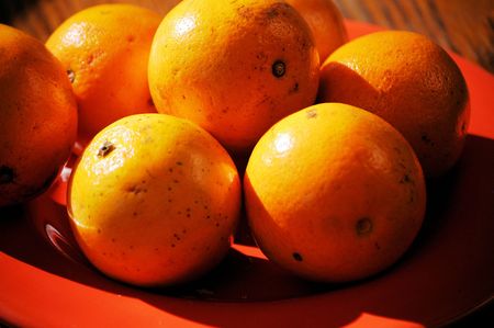 Oranges on a plate ready to eatの写真素材