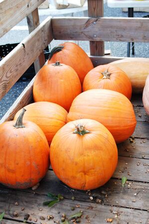 pumkins for sales at the marketの写真素材