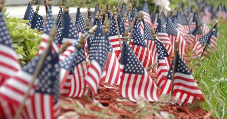                                 American flags in the ground during the fourth of Julyの写真素材